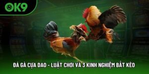 đá gà cựa dao