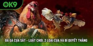 đá gà cựa sắt