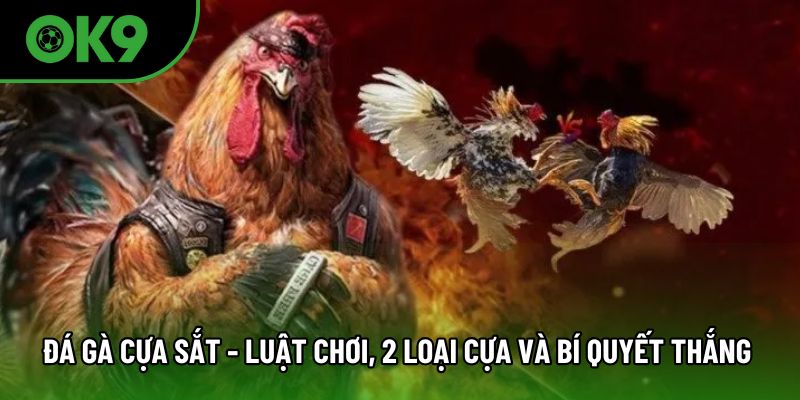 đá gà cựa sắt